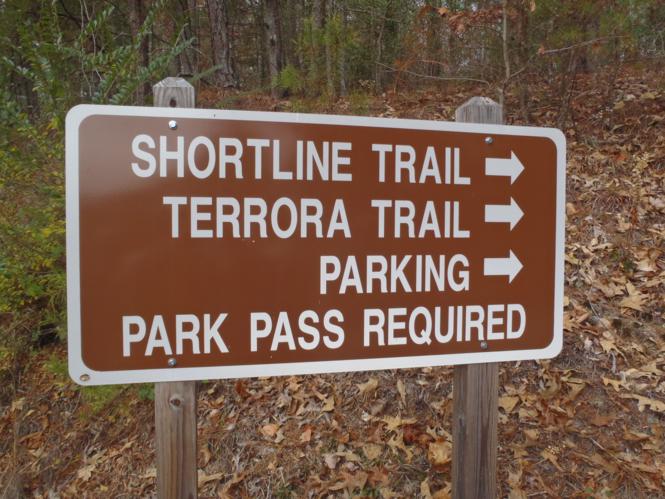 Our starting trails today.