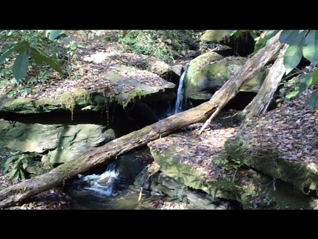 A beautiful spot on this mountain creek!