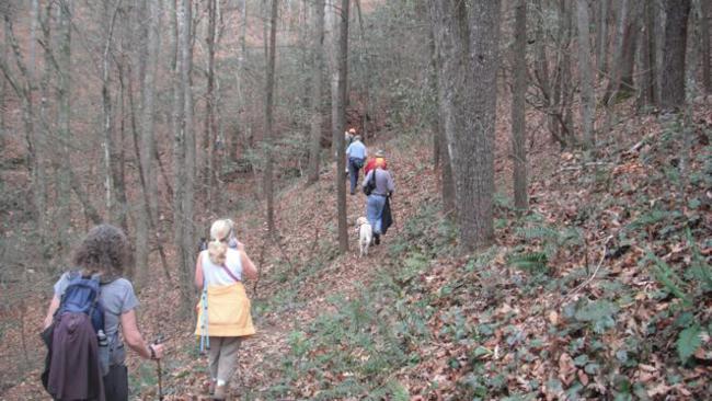 Another great day for a hike!
