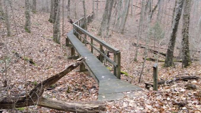 One of the longest footbridges that we see on our hikes!