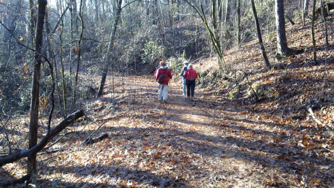 A beautiful woodland trail!