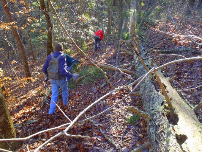 We encounterd some significant tree falls on the trail.