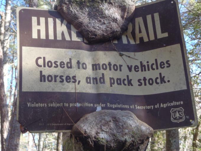 This tree decided to eat the trail sign!