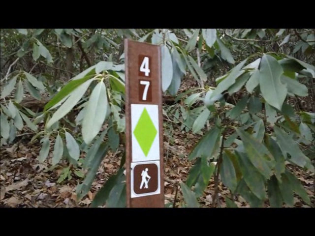 We turn left at the marker for the Courthouse Connector Trail.