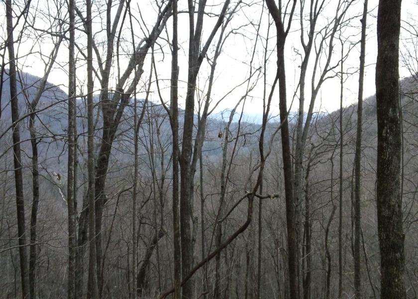 Wintertime offers great mountain views all the way!