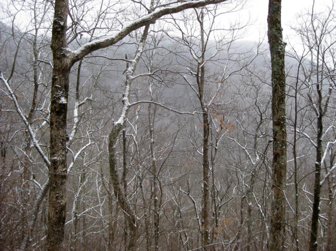 Typical view along the trail.
