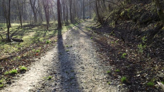 The nice flat start of today's hike.