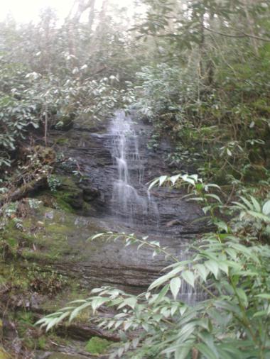 Early into the hike we find a nice little waterfall.