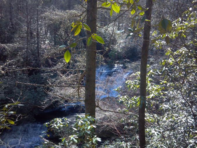 Here we see Lick Log Falls through the vegetation.