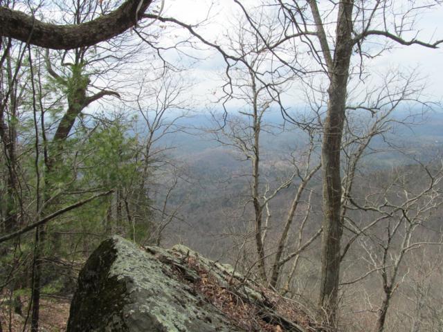The beautiful North GA mountains.