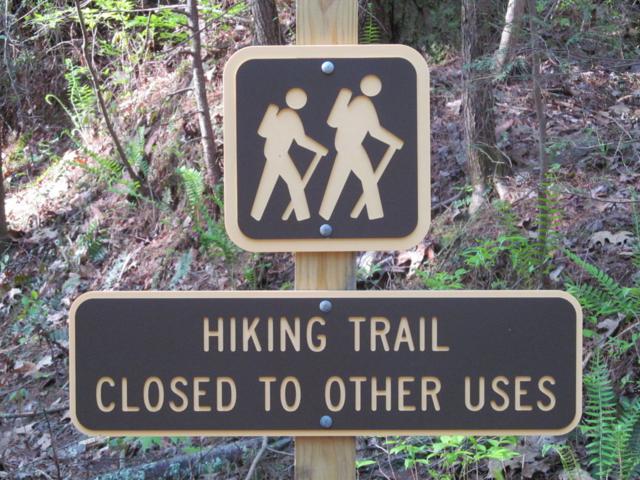 Sign near Sandy Ford Rd.