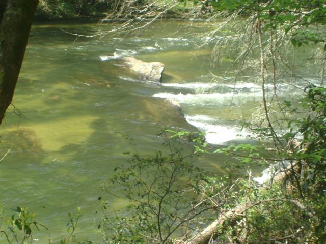Lots of great views of the Chattooga River!