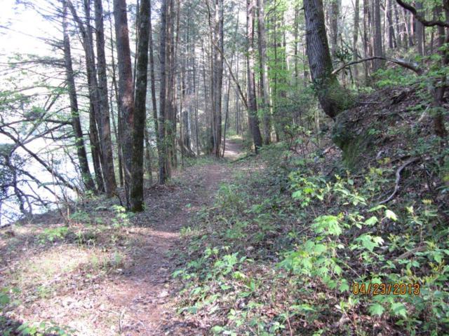 Just a beautiful trail along the Chattooga River.
