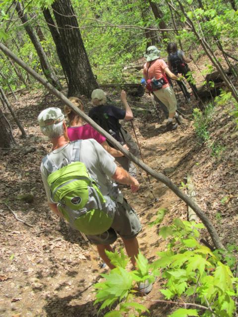 Another great day for a hike on the Bartram Trail!