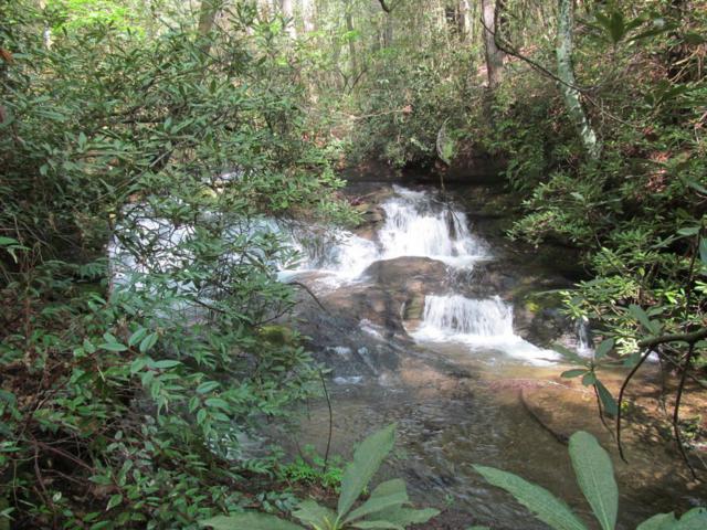 Martin Creek!