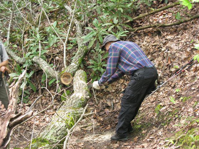 John Ray sawing off a blowdown. John is co-author of the "Bartram Trail" Guidebook.