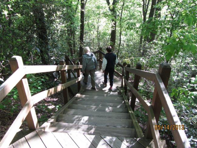 We walk down the long staircase to the lower viewing platform.