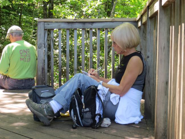 Lunchtime at the observation deck of Lower Whitewater Falls.
