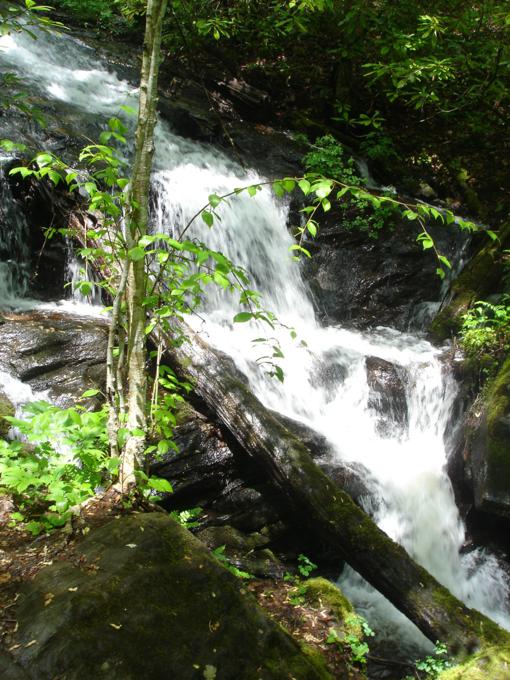 Nice waterfall early into the hike.