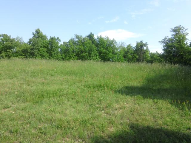 Large grassy field at the summit of Yonah Mt.