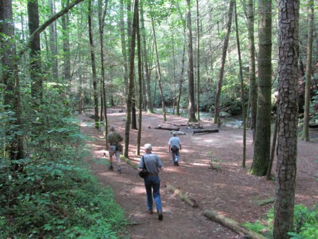A beautiful spot alongside Panther Creek.