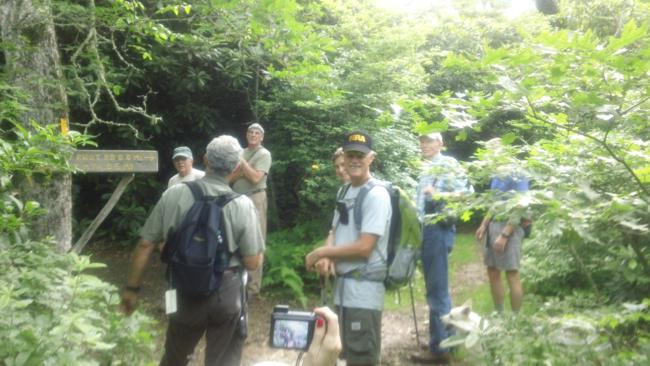 At the 1.5 mile mark we arrive at the trail junction with the Hickory Knut Gap access trail.