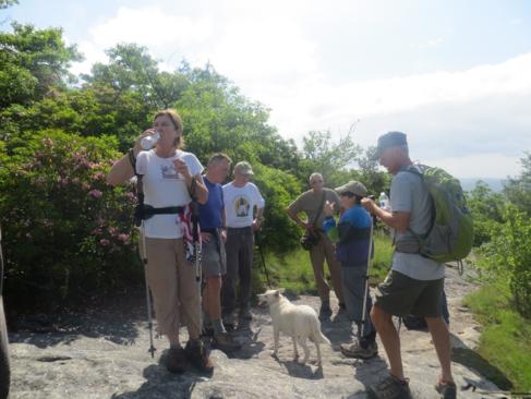Taking a break with our trail dog "Cotton".