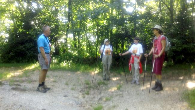 Taking a break at the gap below Rabun Bald.