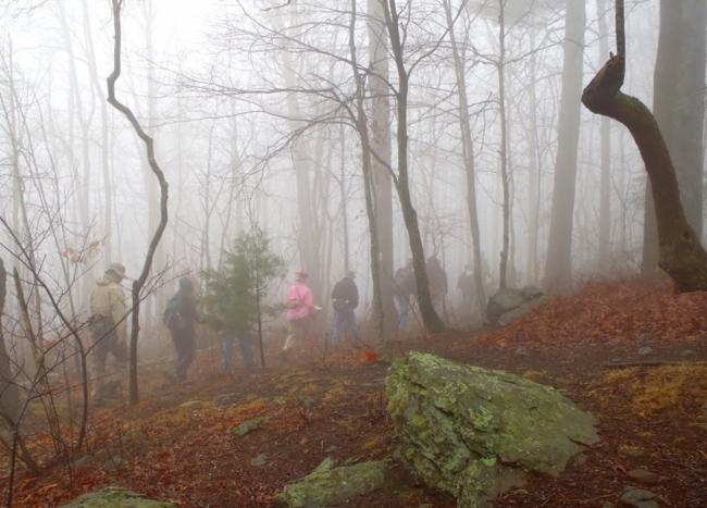 Hitting the trail on a foggy, misty morning.