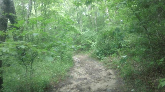 From here the trail climbs steeply to the summit.