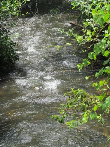 A pleasant refreshing mountain stream on a hot July day.