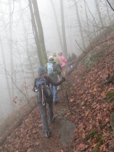 Walking through a hardwood forest on a foggy day has a special kind of beauty!