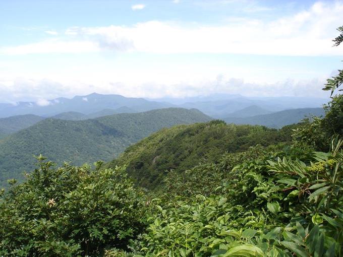 View from Standing Indian (5,498 ft)!