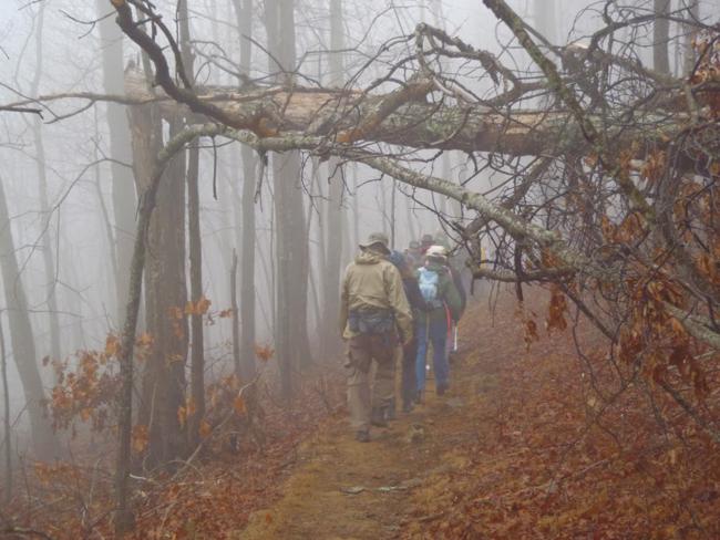 A recent tree fall left a nice passage way!