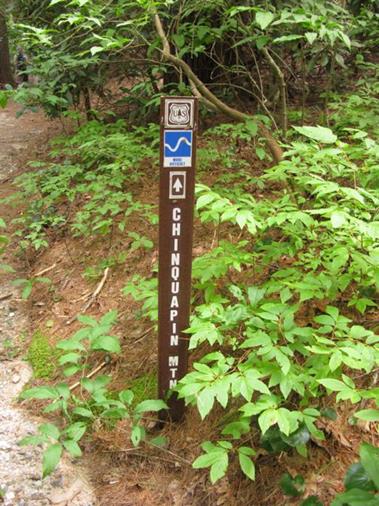 Next, we moved to the west side of Highlands, NC for the Chinquapin Mt. Trail.