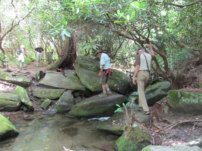 This nice trail has several creek crossings.