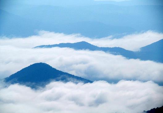 A spectacular view from the tower. (Albert Mt. elevation = 5,210 ft.)