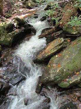 Laurel Creek combines with Mooney Creek to form the headwaters of the Nantahala River.