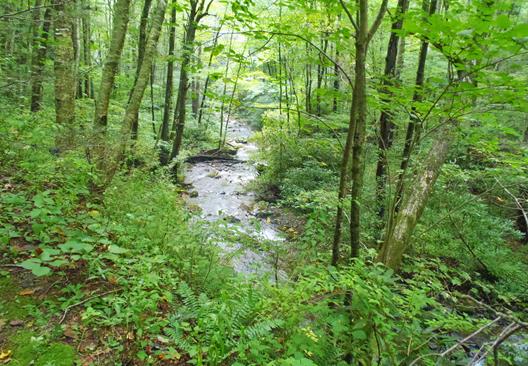 Looking down on the Tallulah River below.