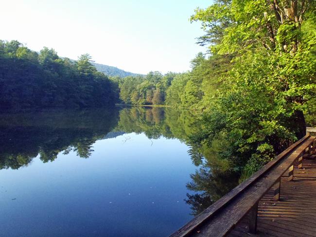 Beautiful early morning view of Dockery Lake!