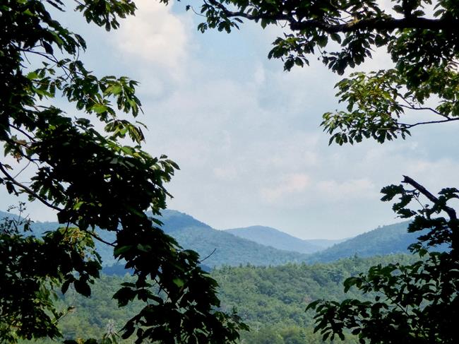 Mountain views !