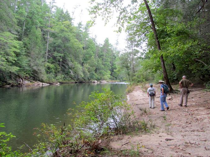 A peaceful section of the Chattooga.
