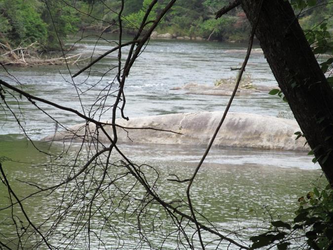 There are countless nice views along the Chattooga River!