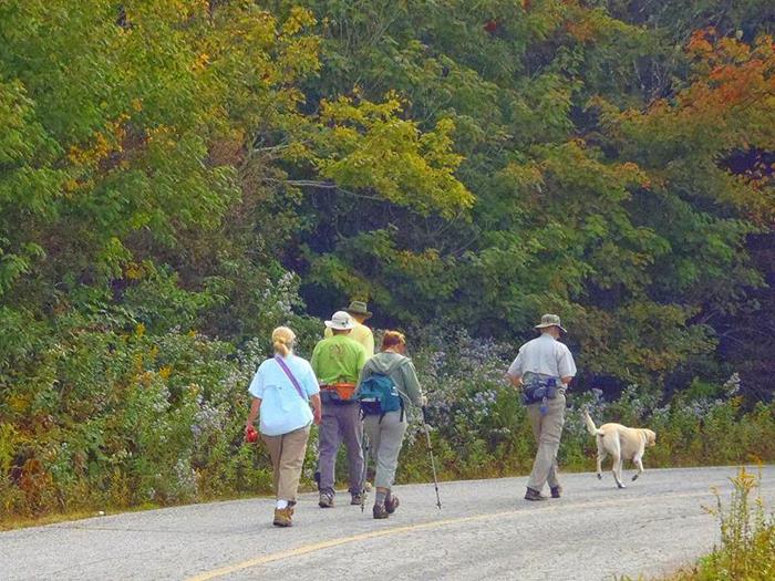 Walking up the road to the Art Loeb Trail.