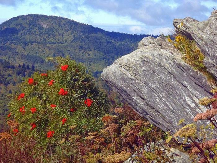 6,214 ft. Black Balsam Knob!