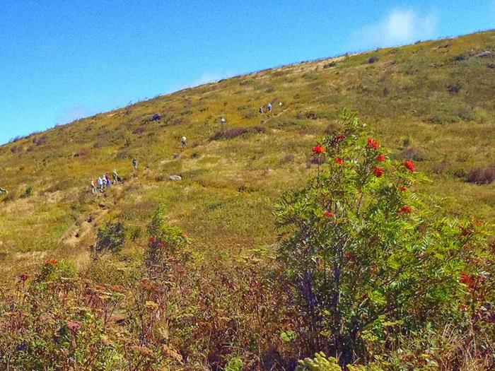 Here we are climbing up the slope to Tennent Mountain (6,040 ft. elevation).