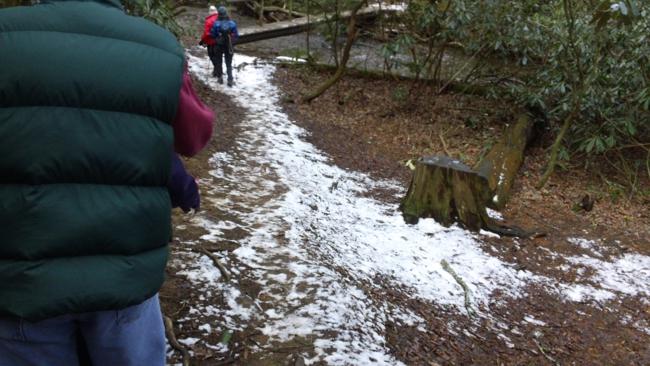 The trail has a little bit of snow in a few places.