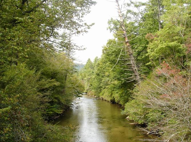 View from the footbridge across the West Fork Chattooga River.