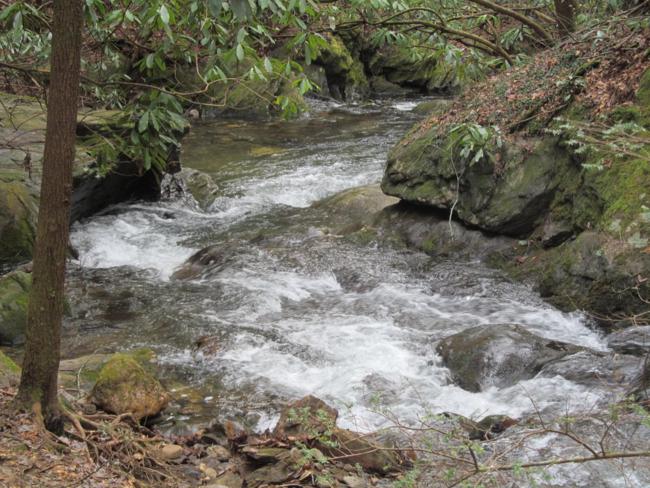 The trail follows Dodd Creek and the water level was up due to recent rain and snow.
