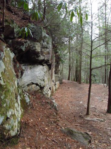 A beautiful trail with several rock walls along the way!